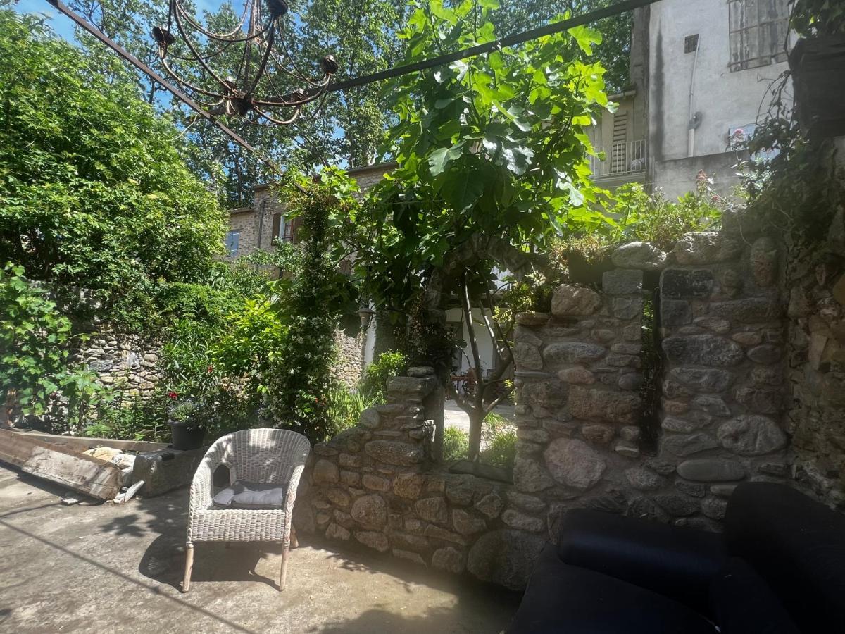 Sculptors Retreat Apartment Ceret Luaran gambar