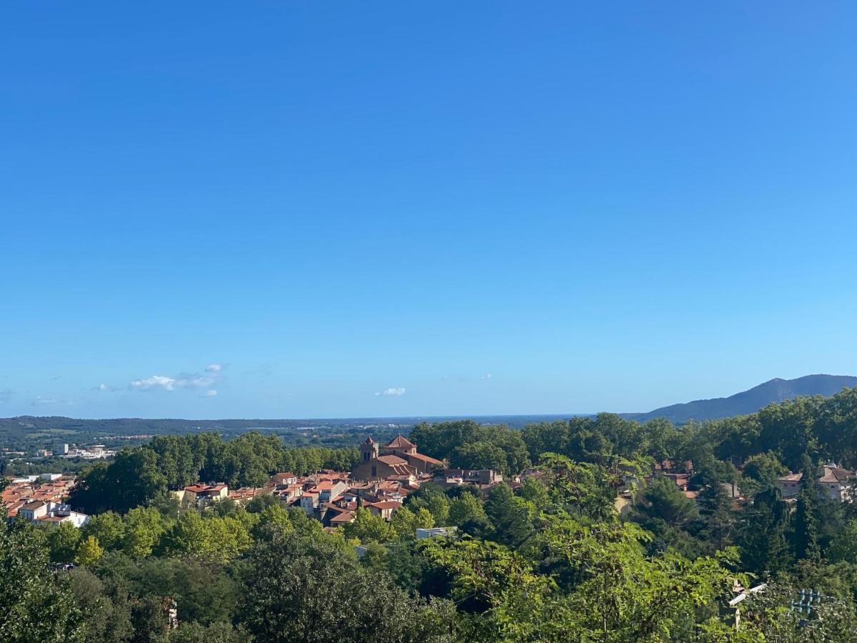 Sculptors Retreat Apartment Ceret Luaran gambar