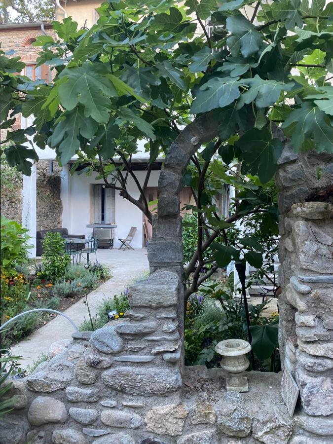 Sculptors Retreat Apartment Ceret Luaran gambar